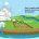Completing a Septic Tank System Check